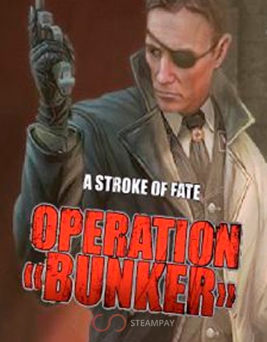 A Stroke of Fate: Operation Bunker
