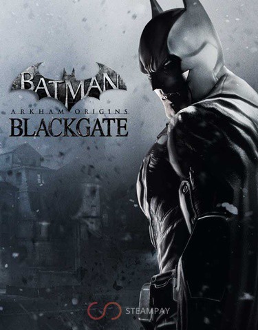 Batman: Arkham Origins Blackgate - Deluxe Edition