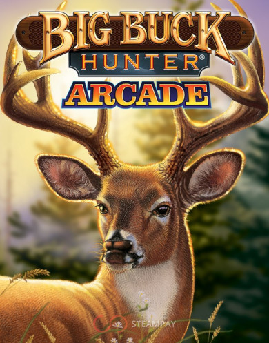 Big Buck Hunter Arcade