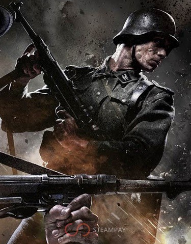 Enemy Front