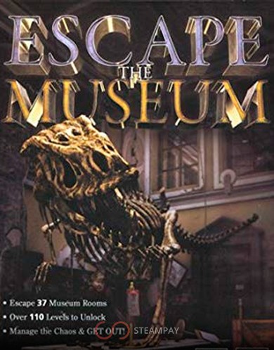 Escape The Museum