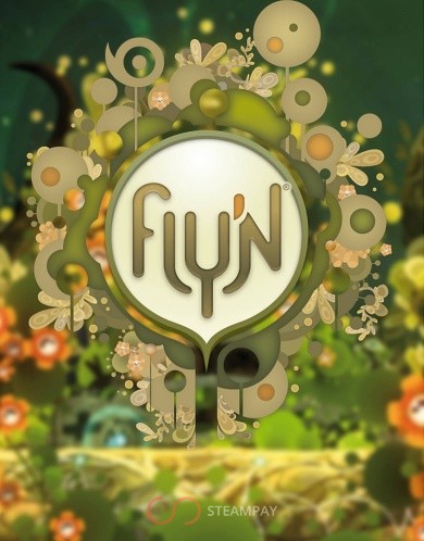 Fly'n