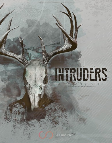 Intruders: Hide and Seek