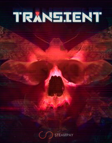 Transient
